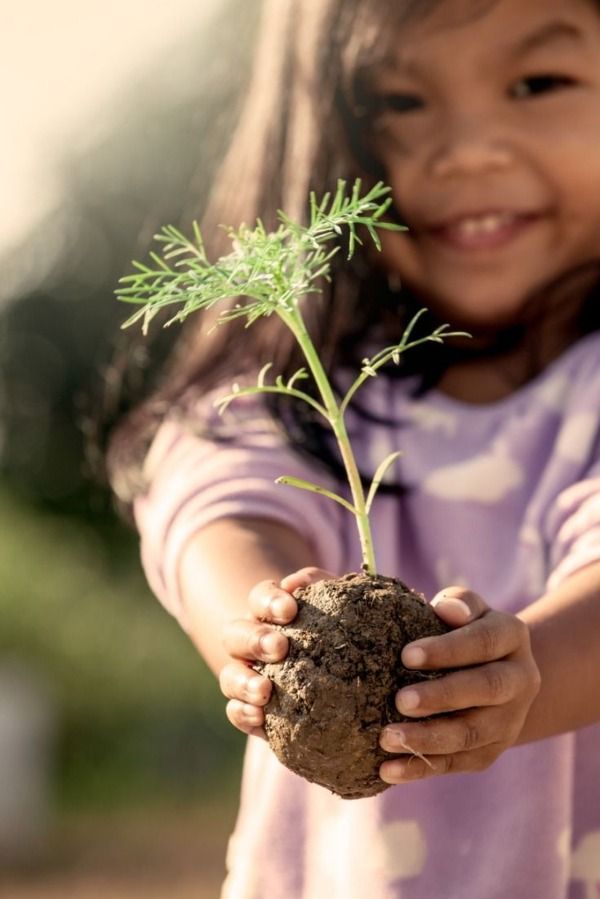 3aa08165 aee4 471b 8570 5337d56977b8 convertido a grande (1) convertido a mediano