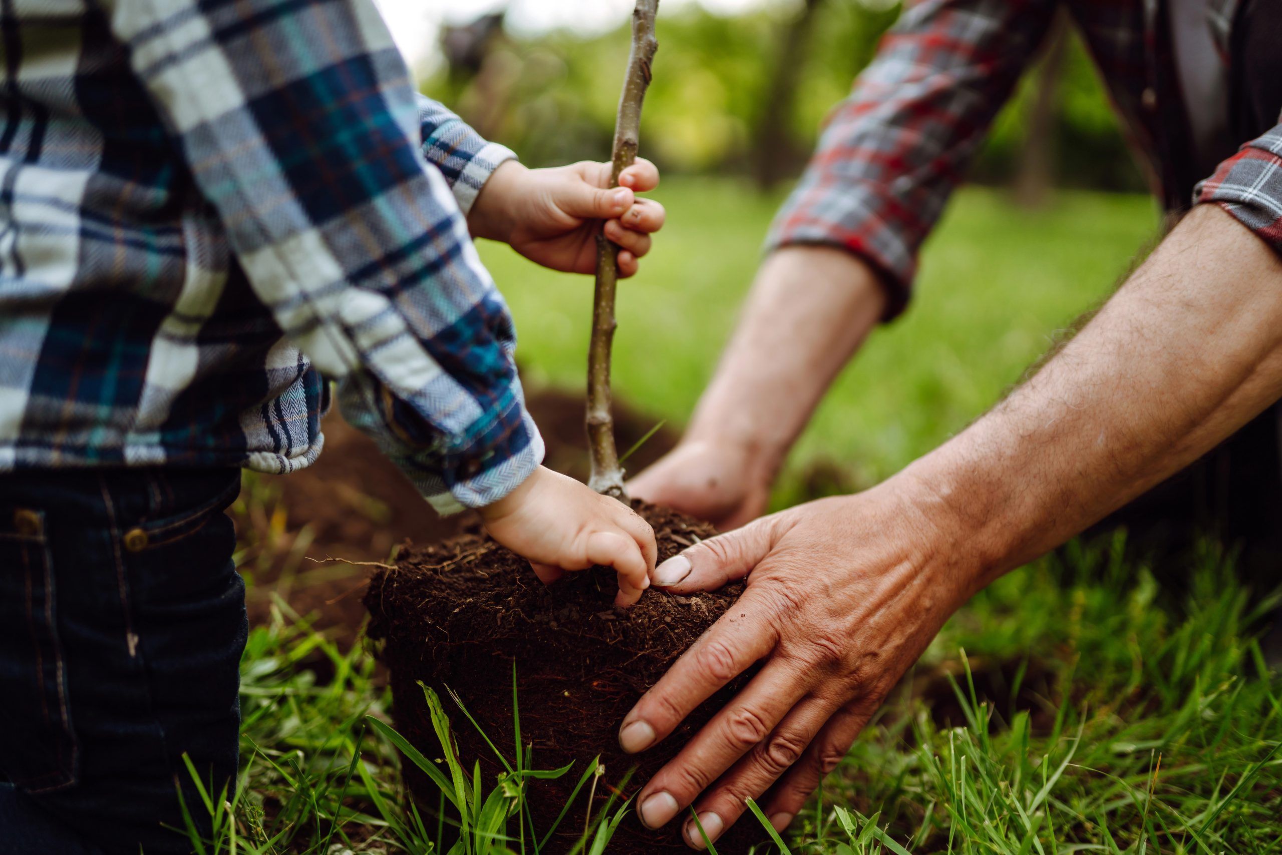 Depositphotos 462270868 Xl