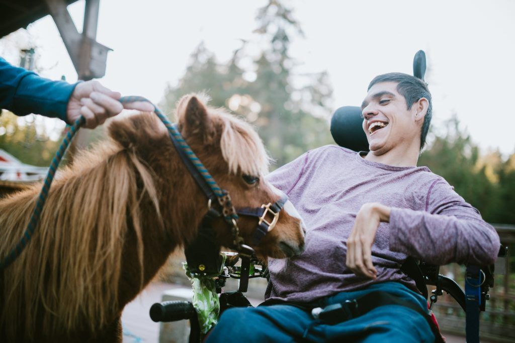 confident young man in wheelchair visits therapy horse
