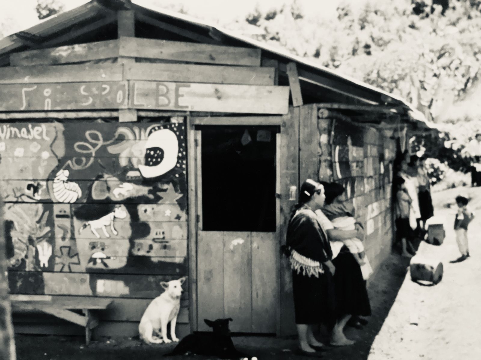 0bafcc72 8661 408d 8397 9024219f1ea4 2