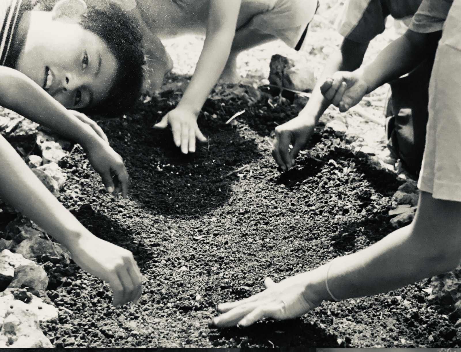 42d664c0 3bbb 472e 9da9 213d04b079ad 2